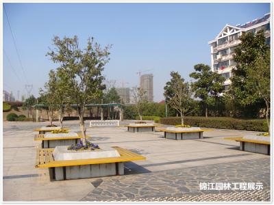 科學園激情廣場
